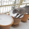 20100104_051