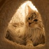 20100228_076
