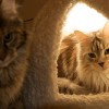 20100228_079