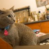 20100303_358