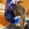 20100315_237