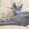 20100404_003