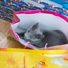 20100404_023