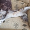 20100405_001