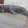 M_20100721_001