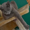 M_20100822_008
