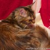 M_20100828_049
