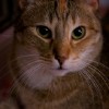 M_20101031_310