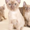 20090104_094.jpg