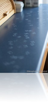 M_20091228_028
