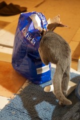 20100315_237