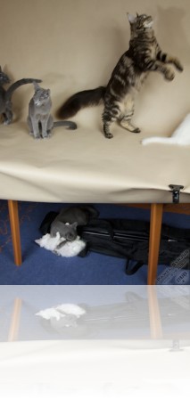 20100506_044