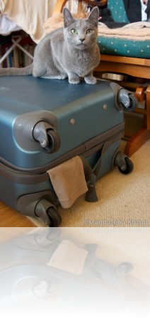 M_20100620_303