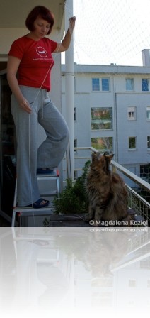 m_20100821_006