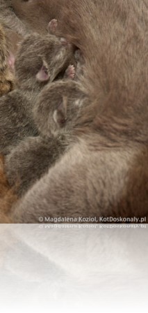 M_20100908_012