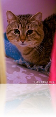 M_20101031_330