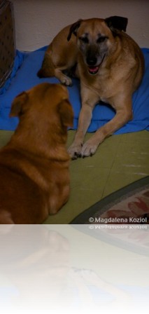 M_20101031_335
