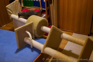 M_20101230_010