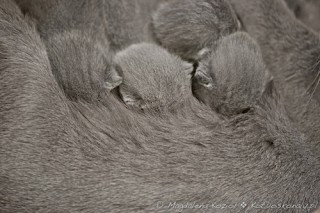 M_20110217_023