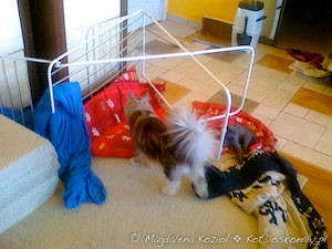 20110504489