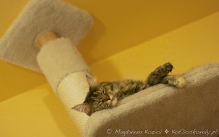m_20111116_007
