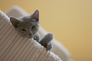 m_20120317_012