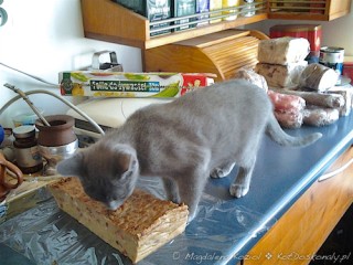 img_20120409_163439
