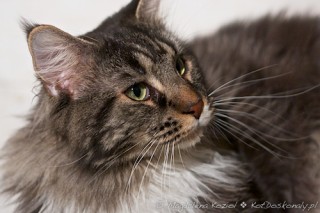 m_20111214_044