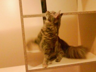 taichi_w_szafie_m.jpg