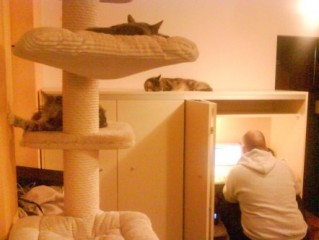 szafa_gotowa_m.jpg