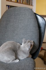 20090601_009.jpg