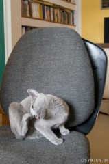 20090601_018.jpg