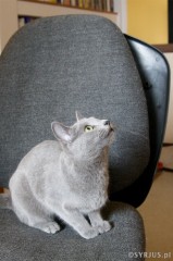 20090601_019.jpg