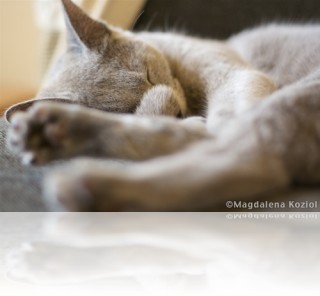 M_20090625_179.jpg