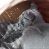 m_20130530_006