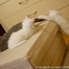 M_20101023_955