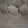 M_20110217_023