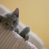 m_20120317_012