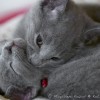 m_20120318_003