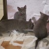 m_20120321_001