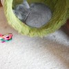 M_20121008_0182