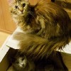 20091003_379.jpg