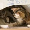 20091003_386.jpg
