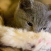 M_20091213_054