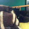2017-08-06 12.09.03-kopia