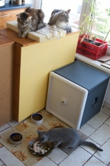 20090927_064.jpg