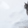 20090219_014.jpg