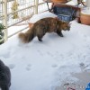 20090219_038.jpg