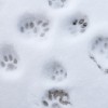 20090219_043.jpg