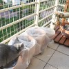 20090420_047.jpg
